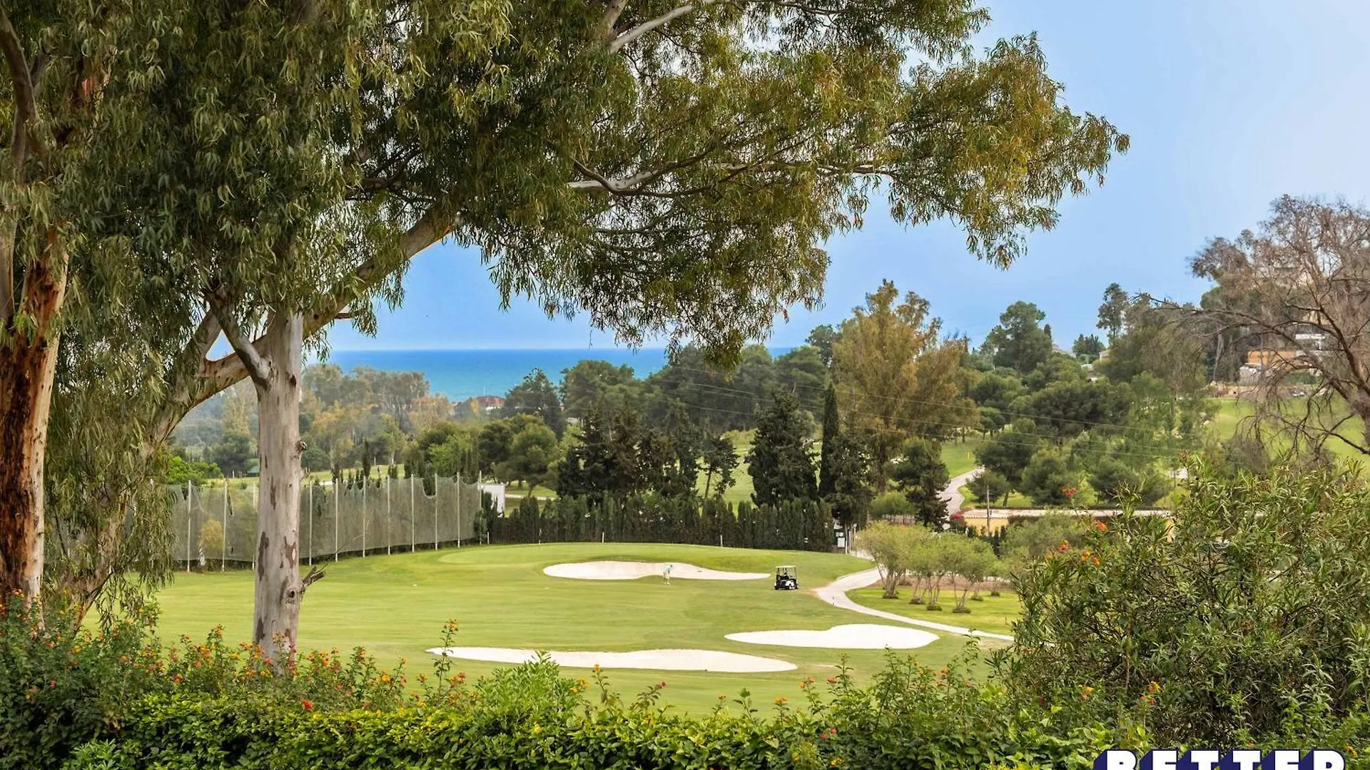 Last Years Estepona Winner By Better Bookings
